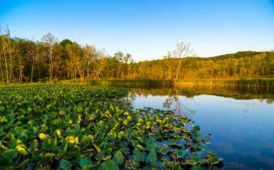 Beaver Marsh in Cuyahoga Valley National Park between Cleveland and Akron