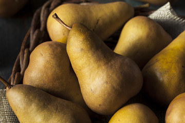 Raw Organic Green and Brown Bosc Pears