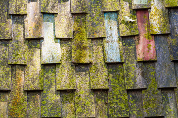 Pattern of wooden roof and moss of old house