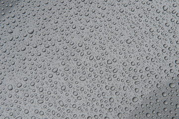 drops of water-repellent surface in black & white