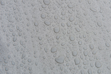 drops of water-repellent surface in black & white
