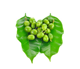 coffee beans and leaf on white background
