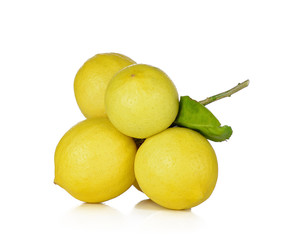 Lemon isolated on a White background