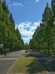 公園のメインストリート