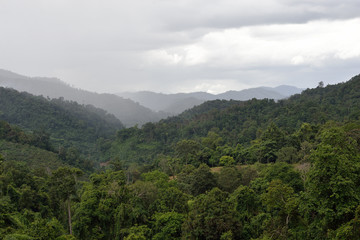 Naklejka premium View of mountain forest landscape under sunlight with heavy blue