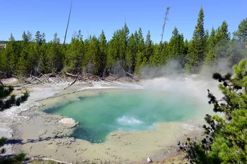 Deurstickers Geothermal activity at Yellowstone National Park,  a huge supervolcano in Wyoming, USA © nyker