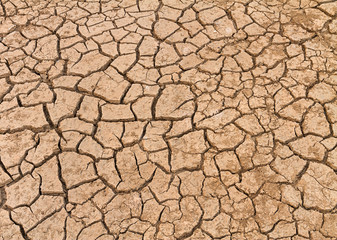 Cracked earth background
