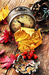 Alarm clock and fallen leaves © nikolaydonetsk