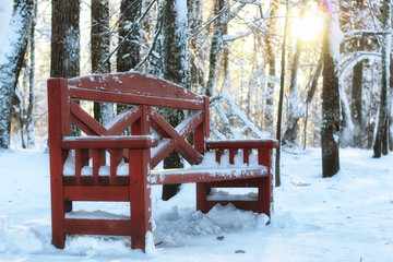 wood bench in winter