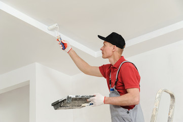 Painting the ceiling and walls.