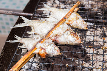 Close up of grilled fish with salt on stove