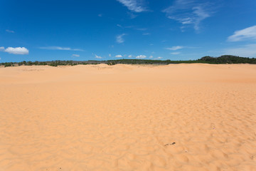 Fototapeta na wymiar red sand dune desert in Mui Ne, Vietnam