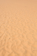 red sand dune desert in Mui Ne, Vietnam