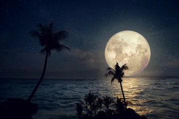 Photo sur Aluminium Pleine lune Styles fantastiques d& 39 œuvres d& 39 art - Belle plage tropicale avec étoile de la voie lactée et pleine lune dans le ciel nocturne. Rétro avec ton de couleur vintage (Éléments de cette image de lune fournie par la NASA)