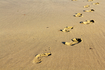 Footprints in the sand on Polzeath beach