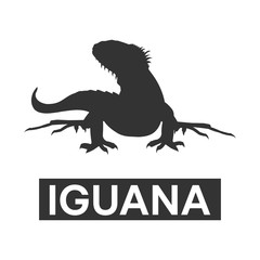 Naklejka premium silhouette iguana