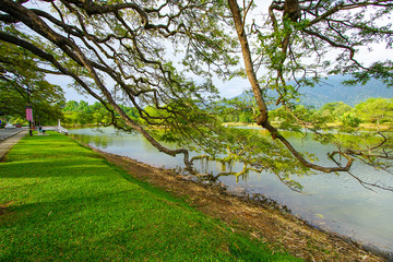 Beautiful Taiping Lake Gardens