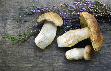 Boletus edulis.Boletus edulis mushrooms and heather on old wooden background.Selective focus.