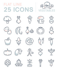 Set Vector Flat Line Icons Vegetables