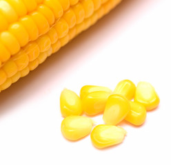Boiled corn on white