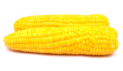 Boiled corn on white