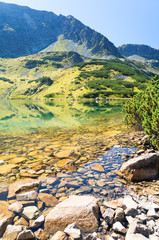Shore of mountain lake in High Tatras, Poland © lukaszimilena