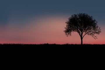 Fototapeta na wymiar tree silhouette