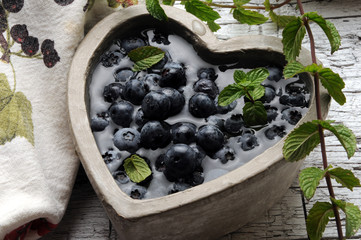 ,Vaccinium myrtillus Borówka czarna Afin Brusnice borůvka European blueberry