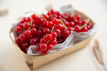 Johannisbeeren 