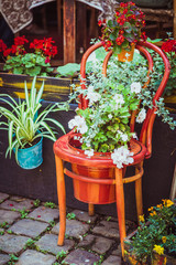 Fototapeta na wymiar Old wooden chair on the pavement flowerpots decorated with white and red flowers