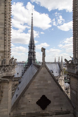 Fototapeta na wymiar Vista da Notre Dame