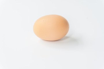 egg on white background