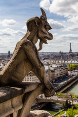 Fototapeta premium Vista da Notre Dame