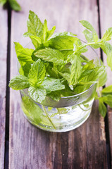 Green fresh mint on the wooden table