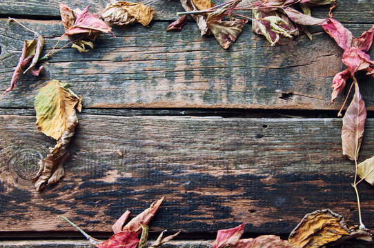 Background with leaves on the old wooden table