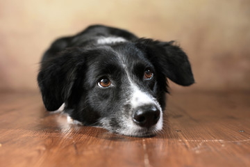 Fotos Lizenzfreie Bilder Grafiken Vektoren Und Videos Von Haus