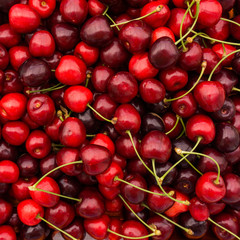 Sweet cherry.  cherry background
