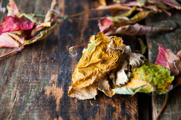 Background with leaves on the old wooden table
