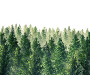 Digital Illustration 3d Rendered forest © paperstreet26196