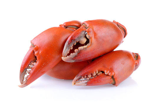 Boiled Crab Claws Isolated On White Background