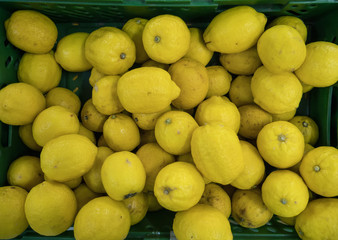 Fruits in a supermarket. Lemons.