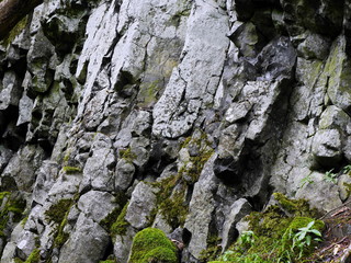 Basaltprismenwand am Gangolfsberg in der Rhön