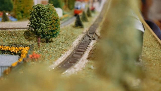 Model cargo trains and tram passing by, meet and cross on a diorama
