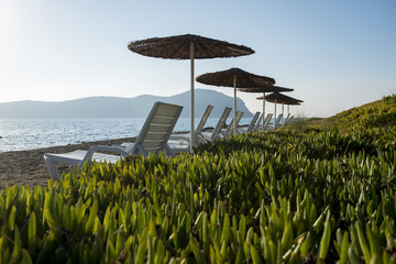 beach umbrellas and sunbeds