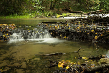 Szumy na Tanwi (Cascades on Tanew River) - nature reserve in Roztocze, Poland - 119749873