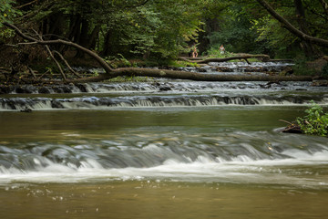 Szumy na Tanwi (Cascades on Tanew River) - nature reserve in Roztocze, Poland - 119749885