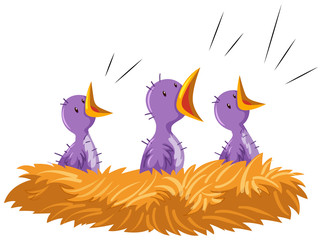 Three baby birds in nest