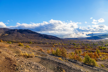 Naklejka premium Brown coal power plant emission. environmental disaster