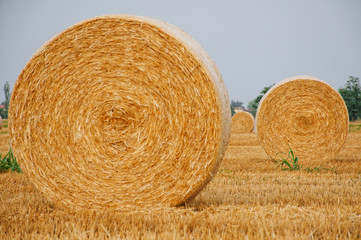 Rotoballe di paglia