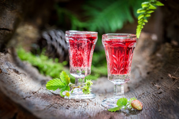 Homemade liqueur with alcohol and wild strawberry
